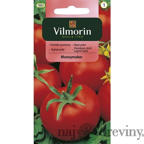 Vilmorin CLASSIC Rajčiak skleníkový MONEYMAKER skorý 0,5 g