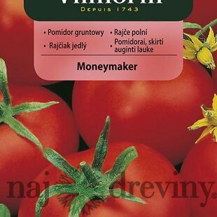 Vilmorin CLASSIC Rajčiak skleníkový MONEYMAKER skorý 0,5 g