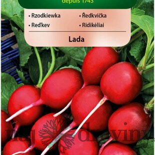 Vilmorin CLASSIC Reďkovka LADA stredne skorá 5 g