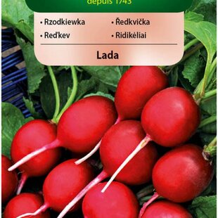 Vilmorin CLASSIC Reďkovka LADA stredne skorá 5 g