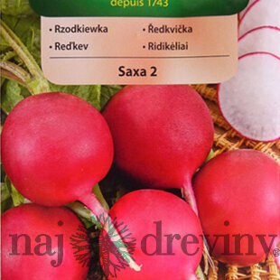 Vilmorin CLASSIC Reďkovka SAXA 2 stredne skorá 10 g