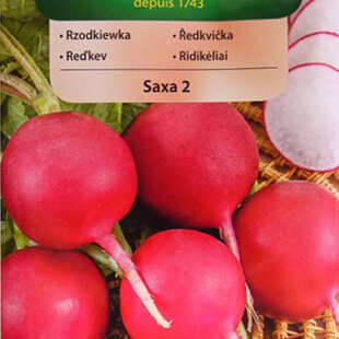 Vilmorin CLASSIC Reďkovka SAXA 2 stredne skorá 10 g