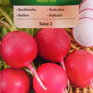 Vilmorin CLASSIC Reďkovka SAXA 2 stredne skorá 10 g