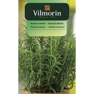 Vilmorin CLASSIC Rozmarín lekársky 0,1 g