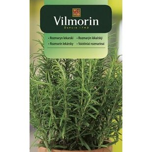 Vilmorin CLASSIC Rozmarín lekársky 0,1 g