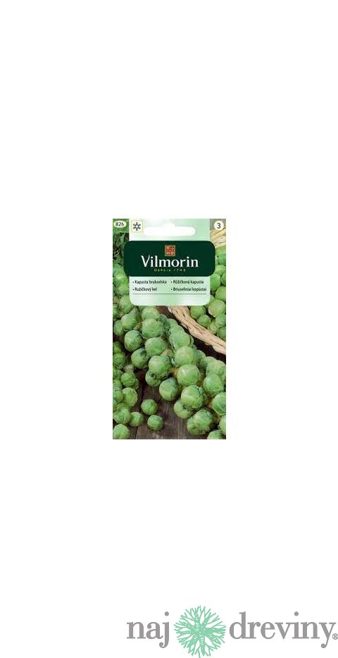 Vilmorin CLASSIC Ružičkový kel GRONINGER skorý 2 g