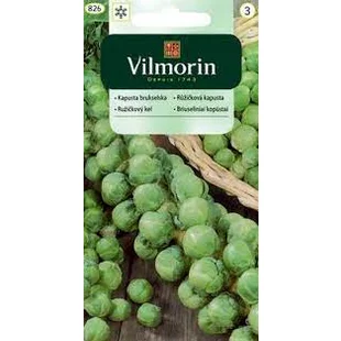 Vilmorin CLASSIC Ružičkový kel GRONINGER skorý 2 g
