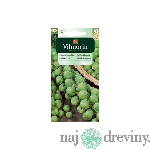 Vilmorin CLASSIC Ružičkový kel GRONINGER skorý 2 g