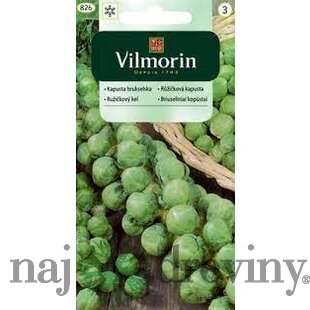 Vilmorin CLASSIC Ružičkový kel GRONINGER skorý 2 g