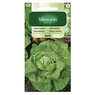 Vilmorin CLASSIC Šalát hlávkový APPIA stredne neskorý 0,5 g