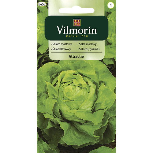 Vilmorin CLASSIC Šalát hlávkový ATTRAKTION 1 g