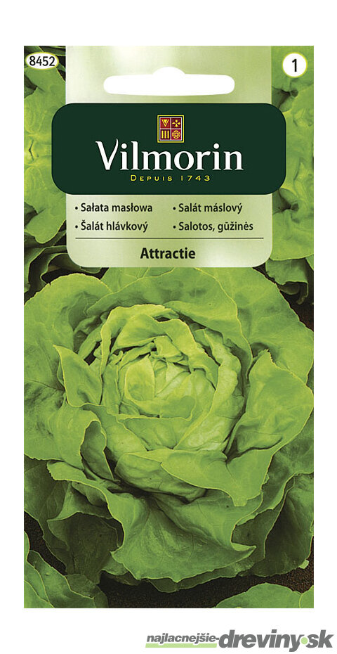 Vilmorin CLASSIC Šalát hlávkový ATTRAKTION 1 g
