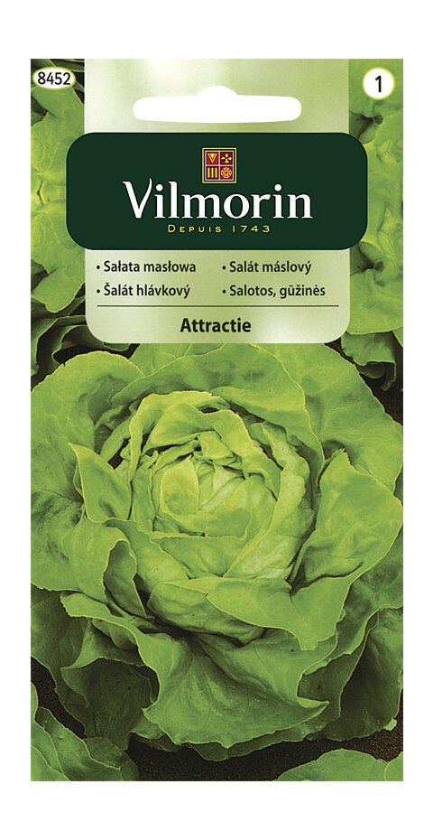 Vilmorin CLASSIC Šalát hlávkový ATTRAKTION 1 g