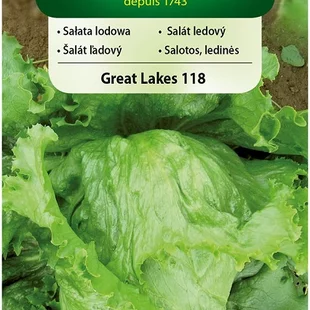 Vilmorin CLASSIC Šalát ľadový GREAT LAKES 118 - neskorý 1 g