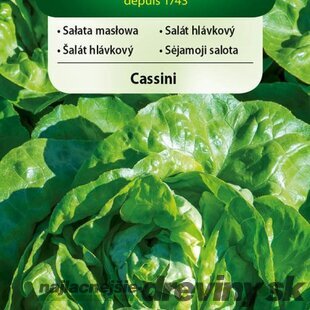 Vilmorin CLASSIC Šalát listový CASSINI skorý 0,5 g