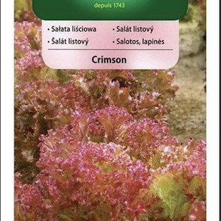 Vilmorin CLASSIC Šalát listový CRIMSON stredne skorý 1 g