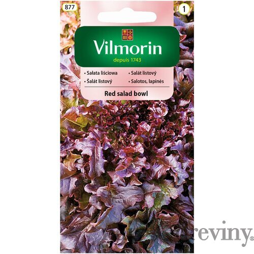 Vilmorin CLASSIC Šalát listový RED SALAD BOWL skorý 1 g