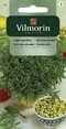 Vilmorin CLASSIC Saturejka záhradná 1 g