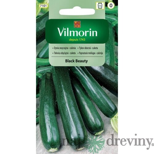 Vilmorin CLASSIC Tekvica obyčajná - Cuketa BLACK BEAUTY 2 g