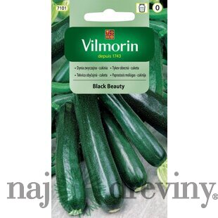 Vilmorin CLASSIC Tekvica obyčajná - Cuketa BLACK BEAUTY 2 g