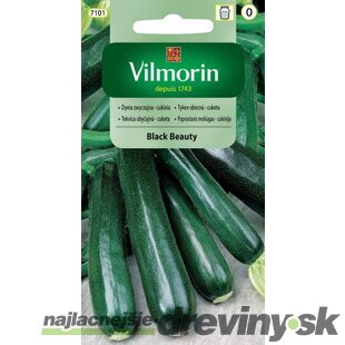 Vilmorin CLASSIC Tekvica obyčajná - Cuketa BLACK BEAUTY 2 g
