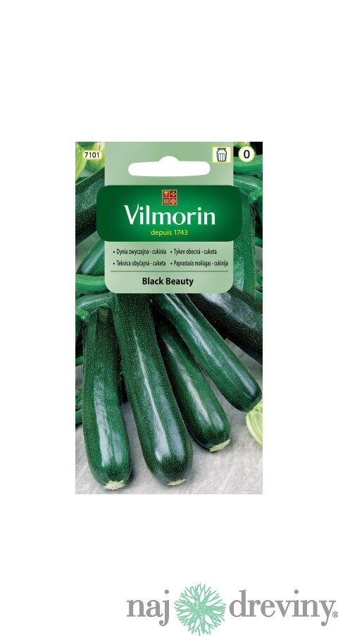 Vilmorin CLASSIC Tekvica obyčajná - Cuketa BLACK BEAUTY 2 g