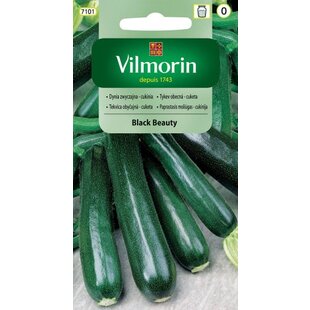 Vilmorin CLASSIC Tekvica obyčajná - Cuketa BLACK BEAUTY 2 g