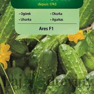 Vilmorin CLASSIC Uhorka siata ARES F1 stredne neskorá 3 g