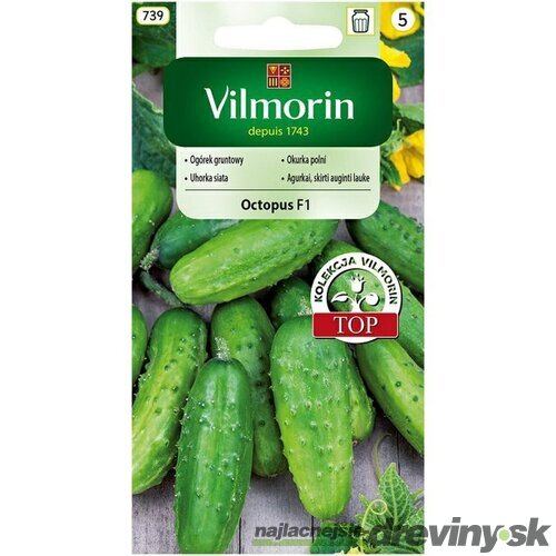 Vilmorin CLASSIC Uhorka siata OCTOPUS - F1 neskorá 2 g