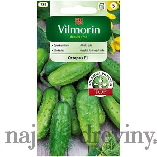 Vilmorin CLASSIC Uhorka siata OCTOPUS - F1 neskorá 2 g