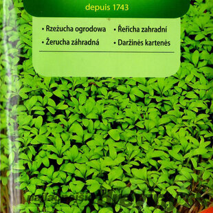 Vilmorin CLASSIC Žerucha záhradná 10 g