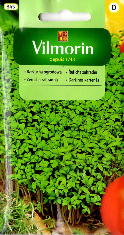Vilmorin CLASSIC Žerucha záhradná 10 g