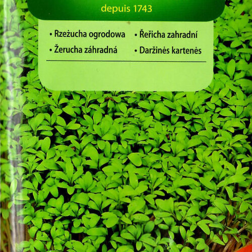 Vilmorin CLASSIC Žerucha záhradná 10 g