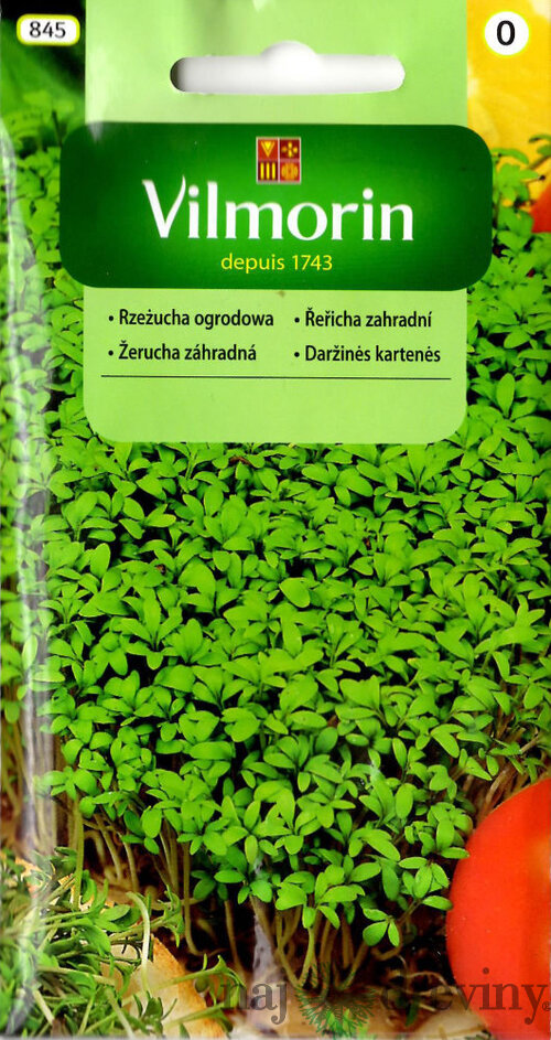 Vilmorin CLASSIC Žerucha záhradná 10 g