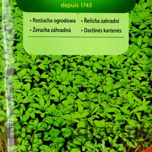 Vilmorin CLASSIC Žerucha záhradná 10 g