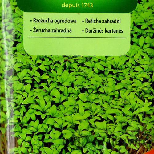 Vilmorin CLASSIC Žerucha záhradná 10 g