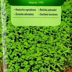 Vilmorin CLASSIC Žerucha záhradná 10 g