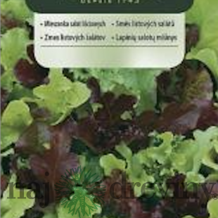 Vilmorin CLASSIC Zmes listových šalátov Sladký Mesclun 0,5 g