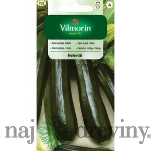 Vilmorin - Cuketa Nefertity 3 g