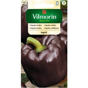 Vilmorin dsladká čokoládová paprika INGRID 0.5 g