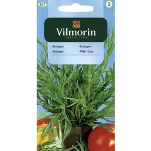 Vilmorin Estragón semiačka 0.1 g