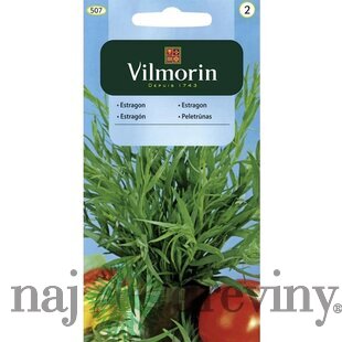 Vilmorin Estragón semiačka 0.1 g
