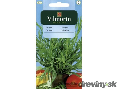 Vilmorin Estragón semiačka 0.1 g