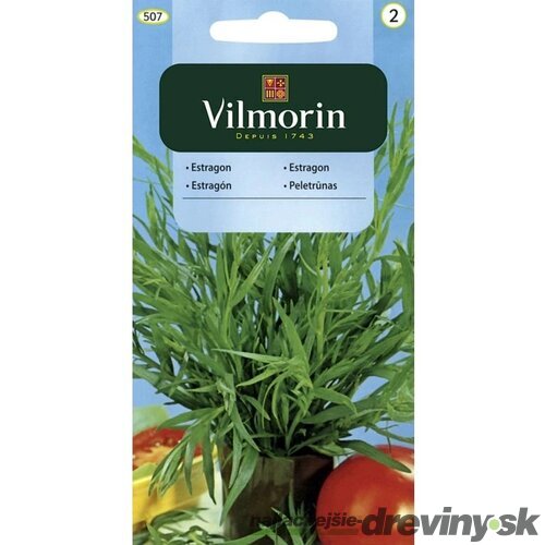 Vilmorin Estragón semiačka 0.1 g