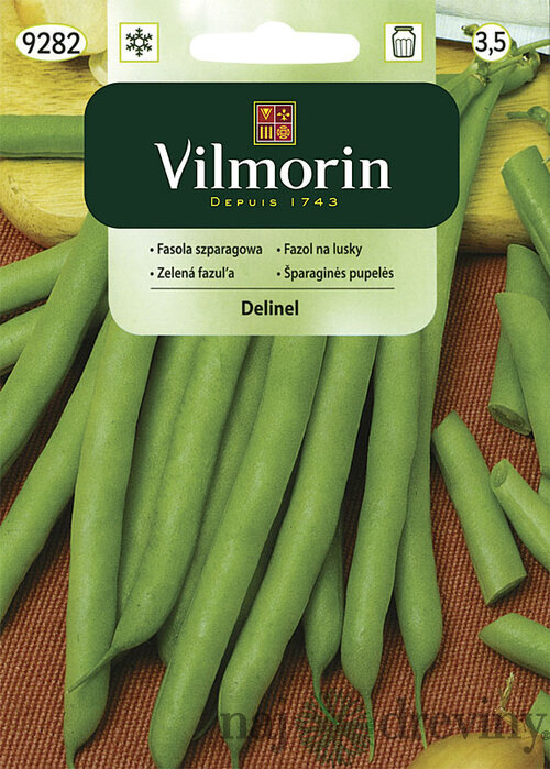 Vilmorin Fazuľka Delinel stredne skorá 30 g