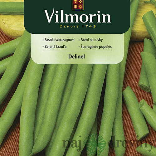 Vilmorin Fazuľka Delinel stredne skorá 30 g