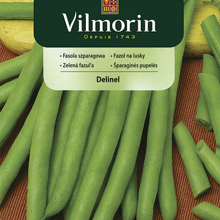 Vilmorin Fazuľka Delinel stredne skorá 30 g