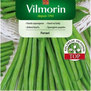 Vilmorin Fazuľka Ferrari stredne neskorá 30 g