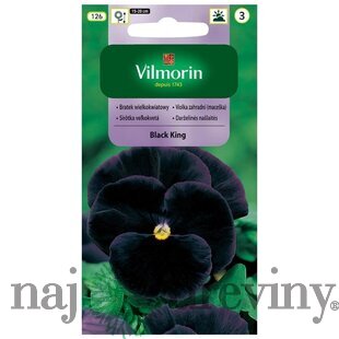 Vilmorin Fialka-sirôtka veľkokvetá švajčiarska semiačka Black King