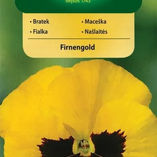 Vilmorin Fialka-sirôtka veľkokvetá švajčiarska semiačka Firnengold